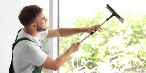 fensterreinigung-2-ecosteam