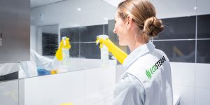 sanitaerreinigung-6-ecosteam